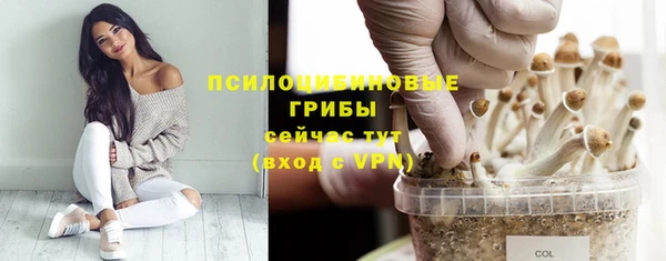 МДПВ Балахна